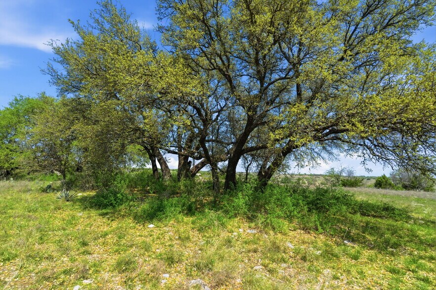 6600 Old Granbury rd, Granbury, TX for sale - Building Photo - Image 2 of 42