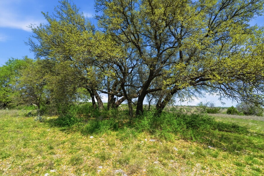 6600 Old Granbury rd, Granbury, TX à vendre - Photo du bâtiment - Image 2 de 42