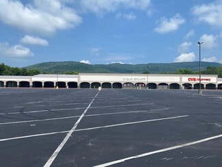 Plus de détails pour 321 Brown's Ferry Rd, Chattanooga, TN - Commerce de détail à vendre