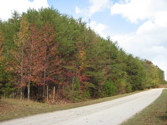 0 Torrington Rd, Dahlonega, GA à vendre - Photo principale - Image 1 de 2