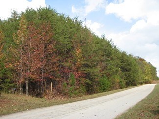 Plus de détails pour 0 Torrington Rd, Dahlonega, GA - Terrain à vendre