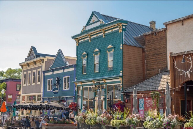 More details for 228 Elk Ave, Crested Butte, CO - Retail for Sale