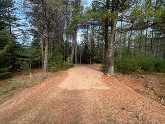 Plus de détails pour 0 Townline Rd, Woodruff, WI - Terrain à vendre