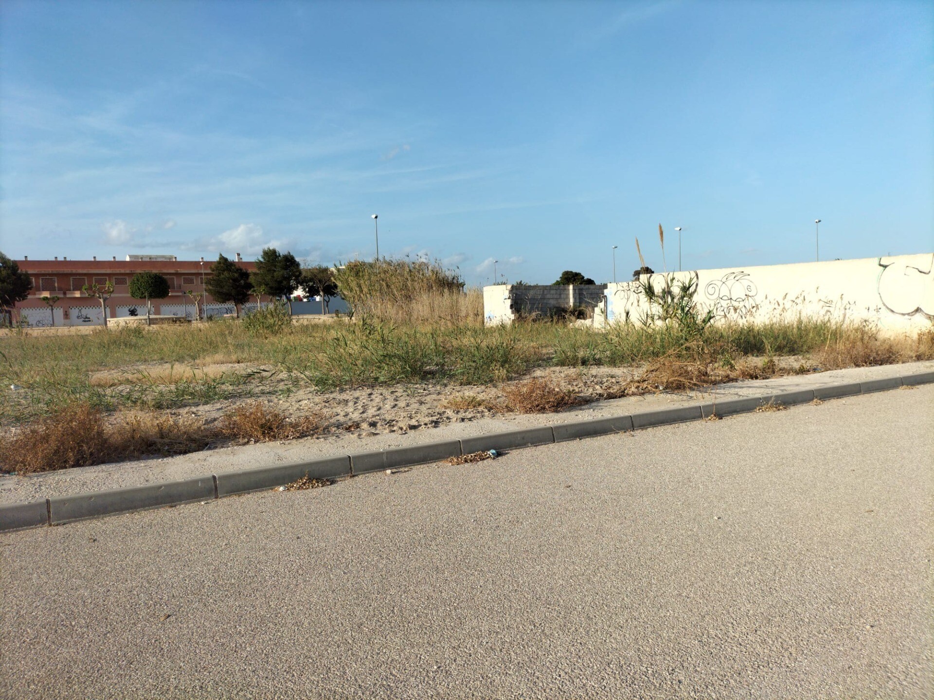 Terrain dans Cox, Alicante à vendre Plan de site- Image 1 de 4