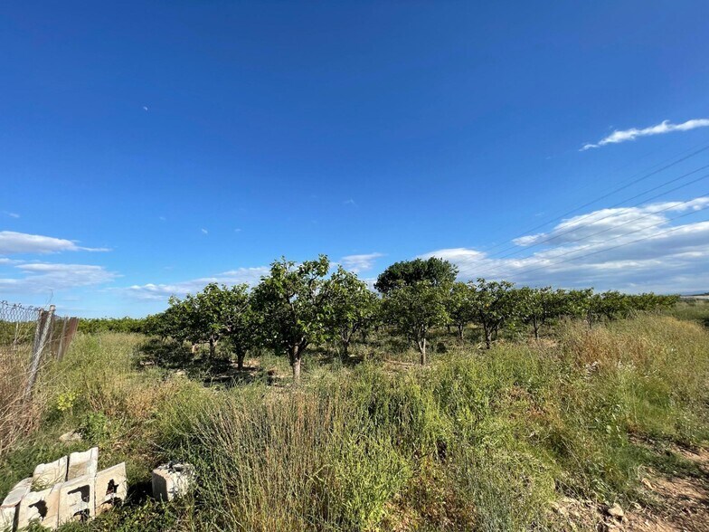 Numero, 302, Benimodo, Valencia for sale - Primary Photo - Image 1 of 4