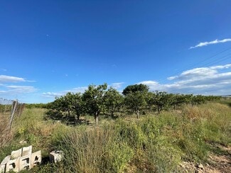 More details for Numero, 302, Benimodo - Land for Sale