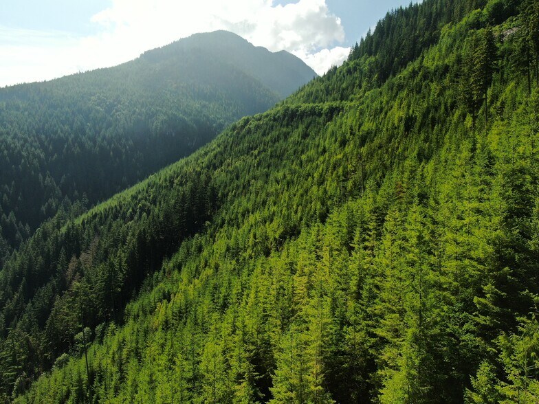 XX Finney Cumberland Road, Sedro Woolley, WA à vendre - Photo du bâtiment - Image 3 de 13