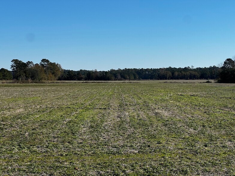 2292 Nichols hwy, Aynor, SC à vendre - Autre - Image 3 de 7