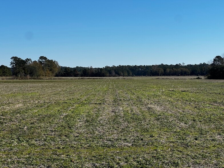 2292 Nichols hwy, Aynor, SC for sale - Other - Image 3 of 7