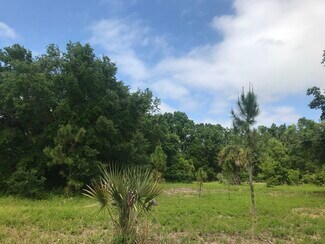 Plus de détails pour 5407 W Irlo Bronson Memorial Hwy, Kissimmee, FL - Terrain à vendre