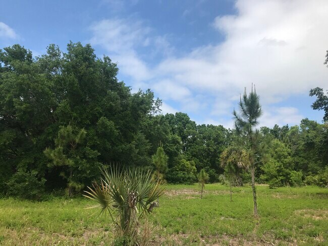 Plus de détails pour 5407 W Irlo Bronson Memorial Hwy, Kissimmee, FL - Terrain à vendre