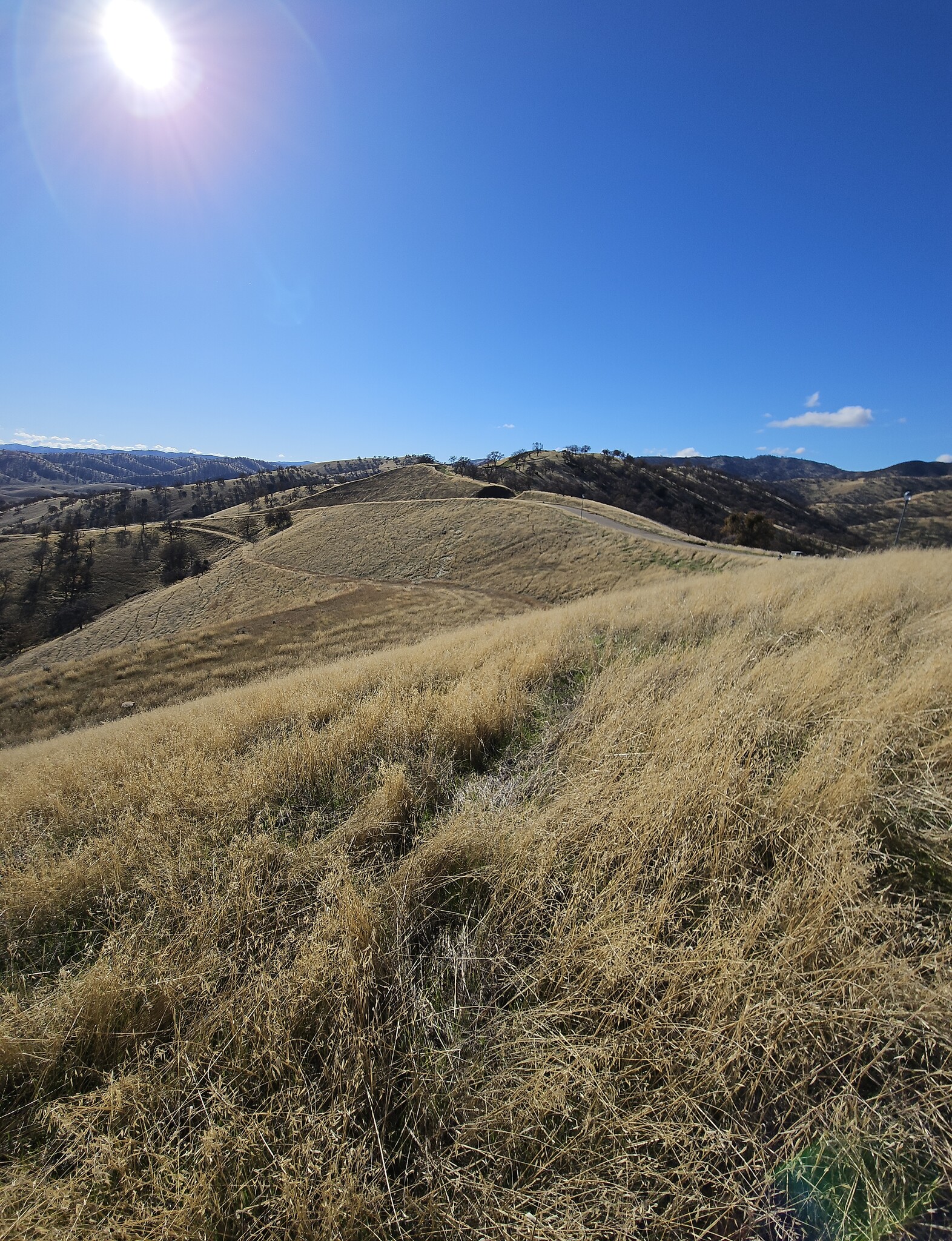 Perrett Patterson rd, Diablo Grande, CA à vendre Photo du b timent- Image 1 de 11