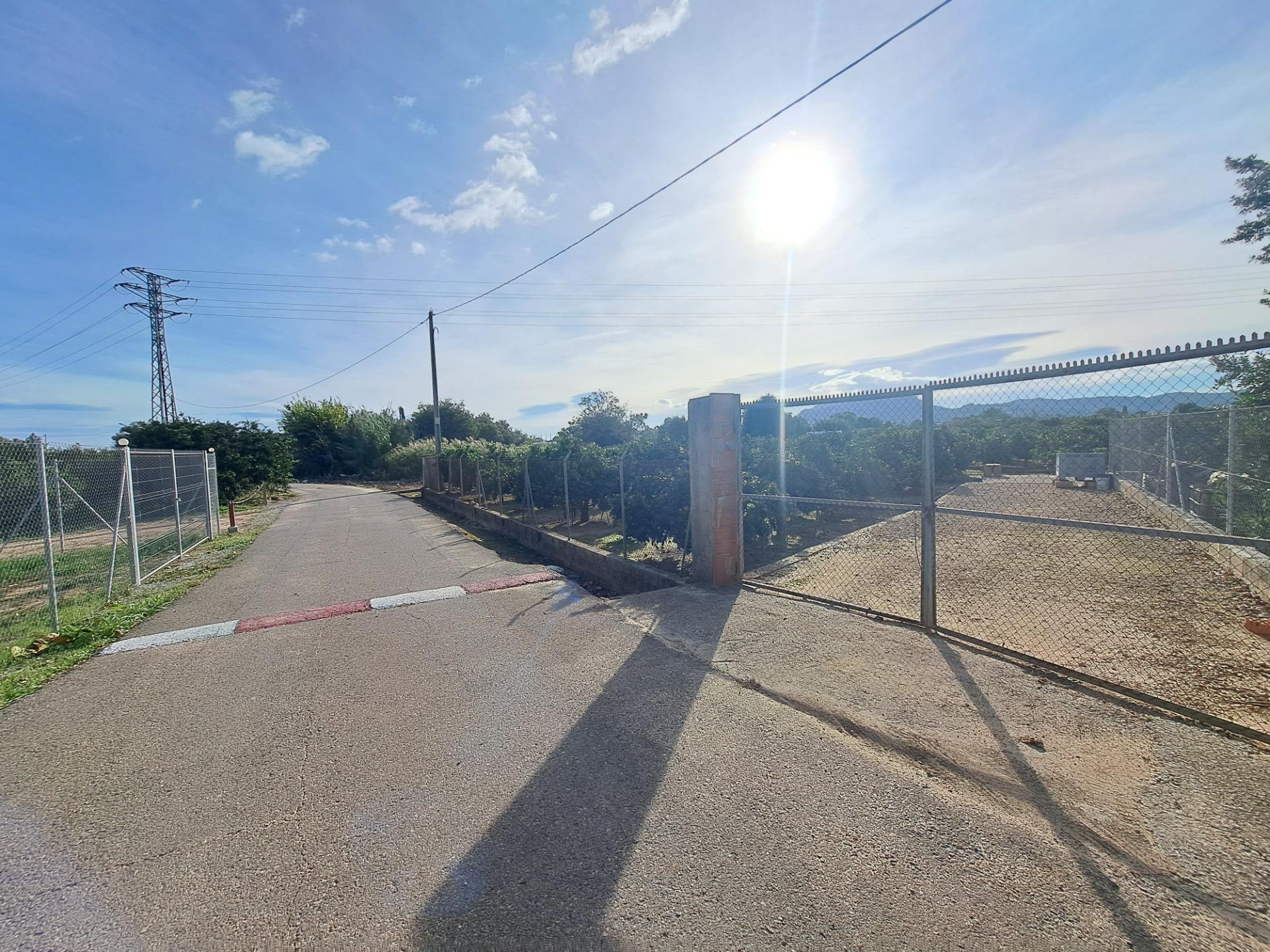 Polígono, Alzira de, 5, Alzira, Valencia à vendre Photo du bâtiment- Image 1 de 13