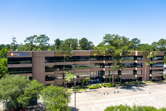 More details for 25211 Grogans Mill Rd, The Woodlands, TX - Office for Lease