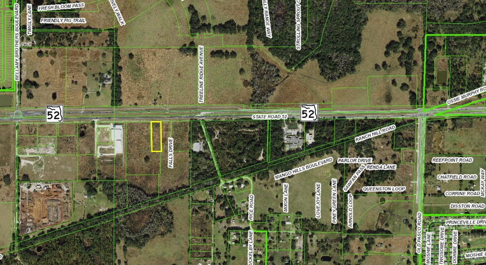 State Road 52, San Antonio, FL for sale - Building Photo - Image 3 of 4