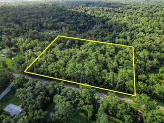 Plus de détails pour County Road 656, Webster, FL - Terrain à vendre