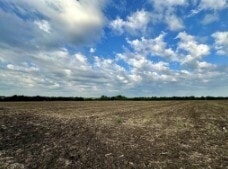 More details for TBD County Road 320, Granger, TX - Land for Lease