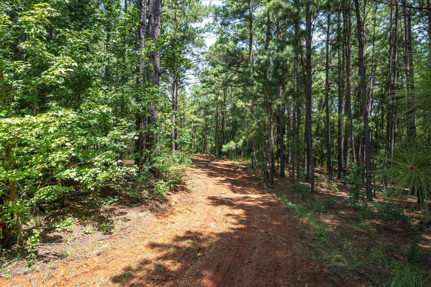 Tract 3 County Road 4102, Jacksonville, TX à vendre - Photo du bâtiment - Image 3 de 18