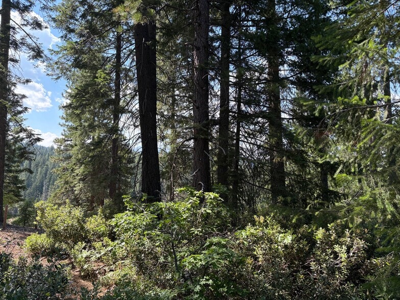 Castle Lake Rd, Mount Shasta, CA for sale - Building Photo - Image 2 of 6