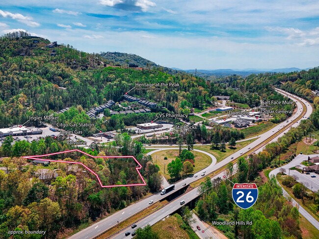 Plus de détails pour 99999 Blueberry Hill Rd, Asheville, NC - Terrain à vendre