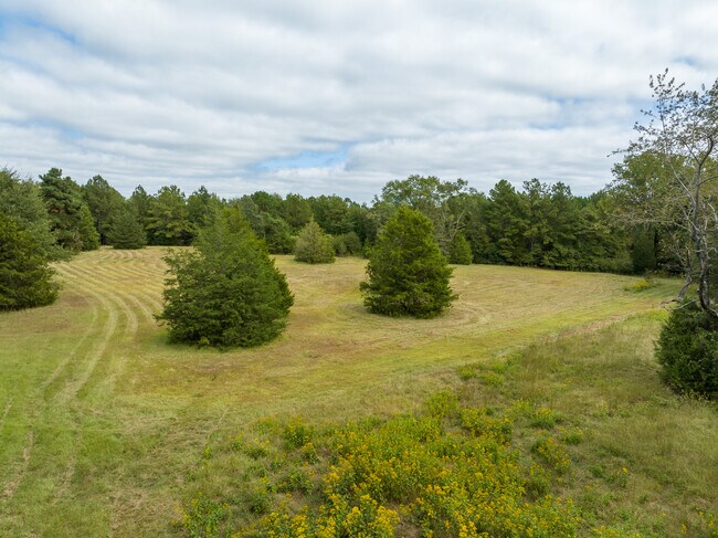 Plus de détails pour 173 Mill Creek Ln, McCormick, SC - Terrain à vendre
