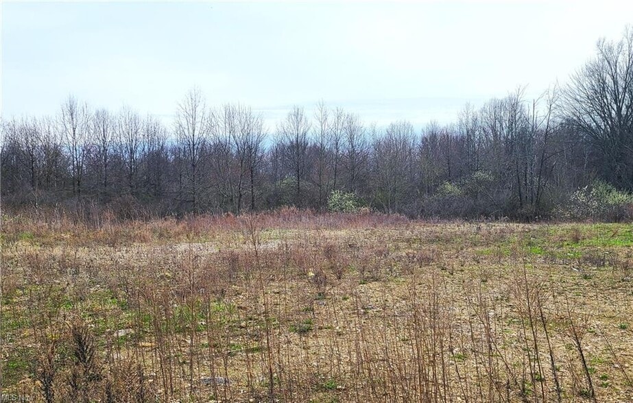 38 McCartney Rd, Campbell, OH for sale - Other - Image 1 of 2