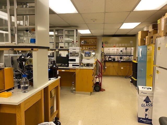 617 Hutton St, Raleigh, NC à louer - Photo intérieure - Image 3 de 12