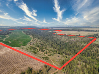 Plus de détails pour 45XXX Devore Rd, Davenport, WA - Terrain à vendre