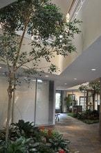 3 Grogans Park Dr, The Woodlands, TX à louer Photo intérieure- Image 2 de 2