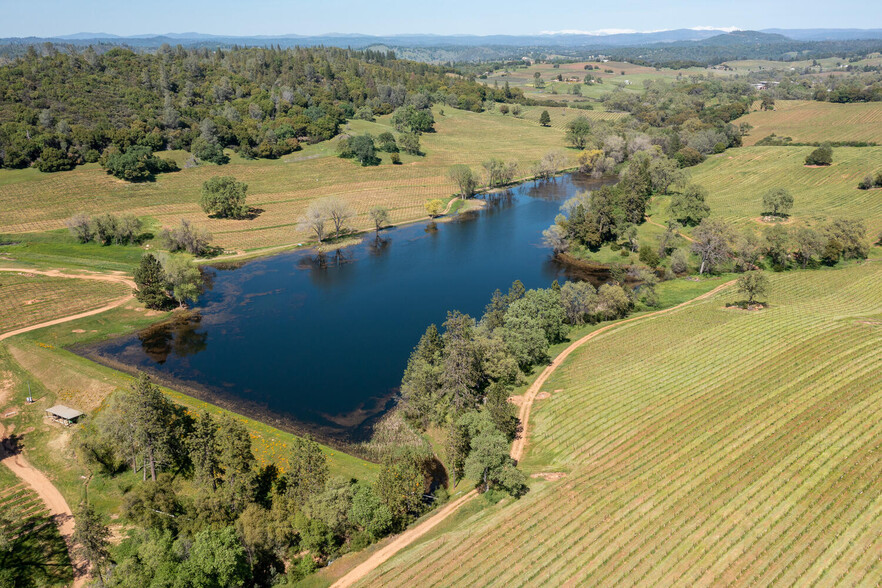 11091 Bell Rd, Plymouth, CA for sale - Primary Photo - Image 2 of 24