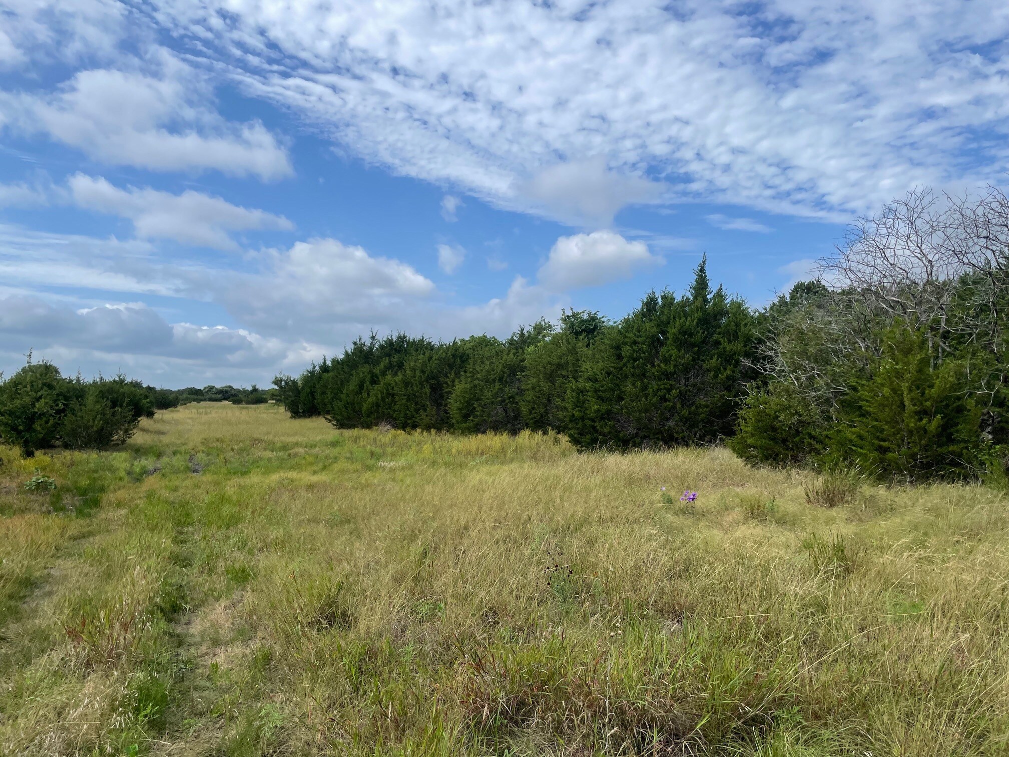 TBD CR 206, Lampasas, TX à vendre Photo principale- Image 1 de 32