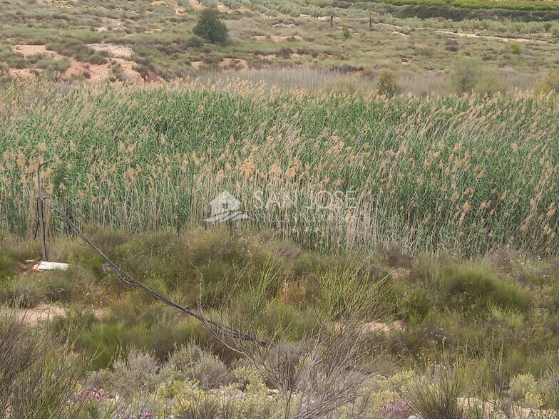 Land in Novelda, Alicante for sale - Primary Photo - Image 3 of 17
