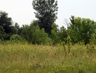 More details for E Main St, Brownsburg, IN - Land for Sale