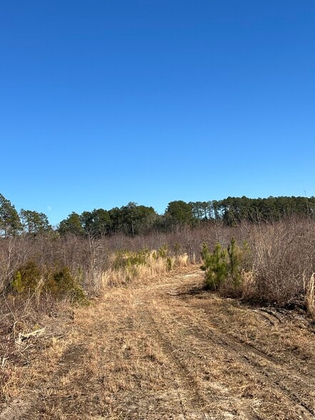 TBD South Carolina 38 Hwy, Bennettsville, SC for sale - Building Photo - Image 3 of 5