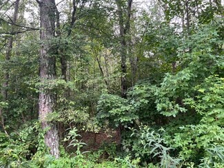 More details for 119 Kirk Rd NW, White, GA - Land for Sale