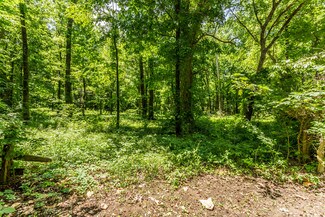 More details for 6999 Goodlett Farms Pky, Cordova, TN - Land for Sale