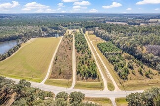 Plus de détails pour 7458 Highway 119 S, Ellabell, GA - Terrain à vendre