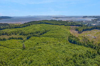 Plus de détails pour 1000 Williams St, Ilwaco, WA - Terrain à vendre