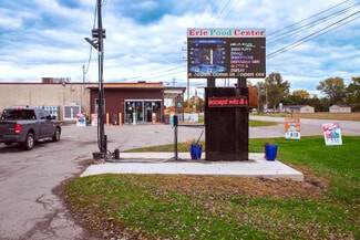 More details for 9875 S Dixie Hwy, Erie, MI - Retail for Sale