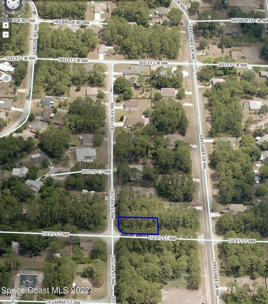 209 Deeyan Ave NW, Palm Bay, FL à vendre Aérien- Image 1 de 2