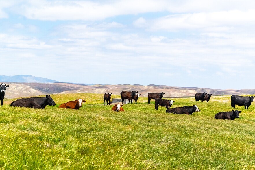 8050 Bitterwater Rd, Shandon, CA à vendre - Photo du bâtiment - Image 1 de 28