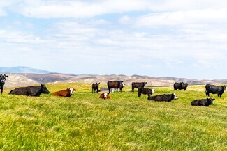 Plus de détails pour 8050 Bitterwater Rd, Shandon, CA - Terrain à vendre