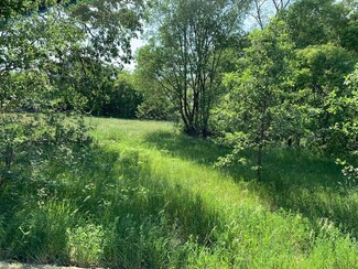 More details for Forest Blvd, Stacy, MN - Land for Sale