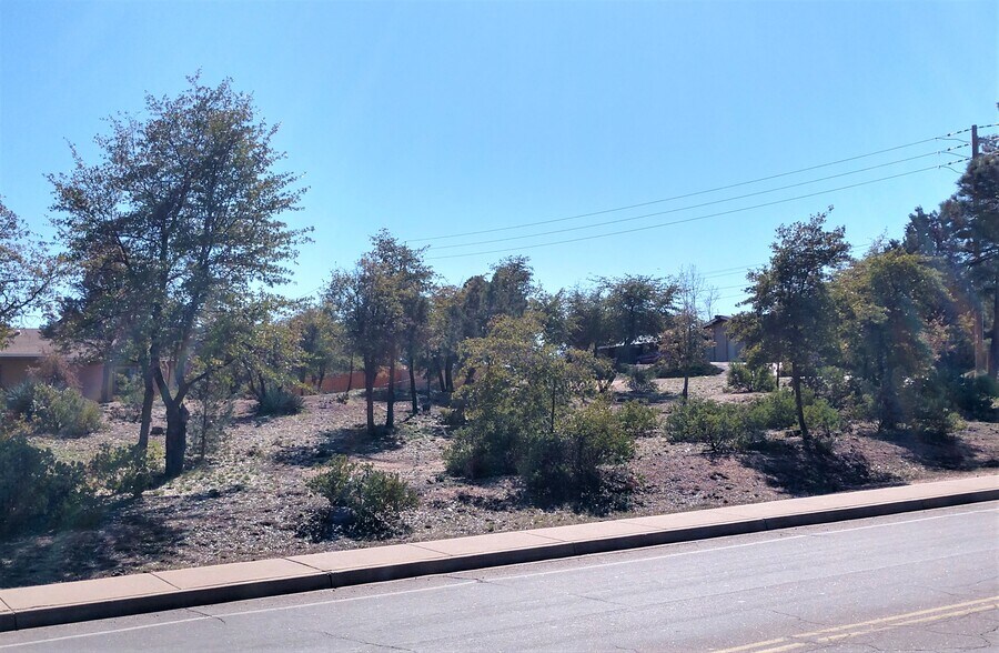 201 W Longhorn Rd, Payson, AZ à vendre - Photo du bâtiment - Image 3 de 14