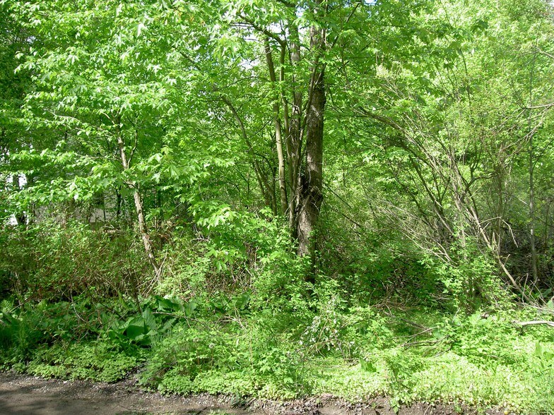 3930 Perkins, Waterford, MI à vendre - Photo du bâtiment - Image 2 de 3