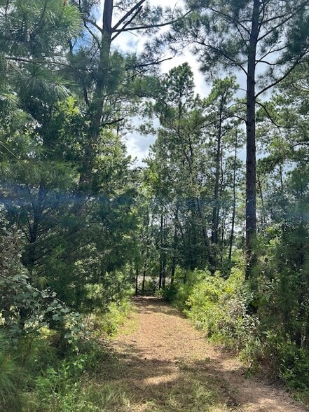 11382 County Road 307, Navasota, TX for sale - Building Photo - Image 2 of 4