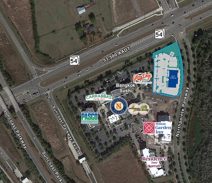 16611 Pointe Village Dr, Lutz, FL à louer - Aérien - Image 3 de 13