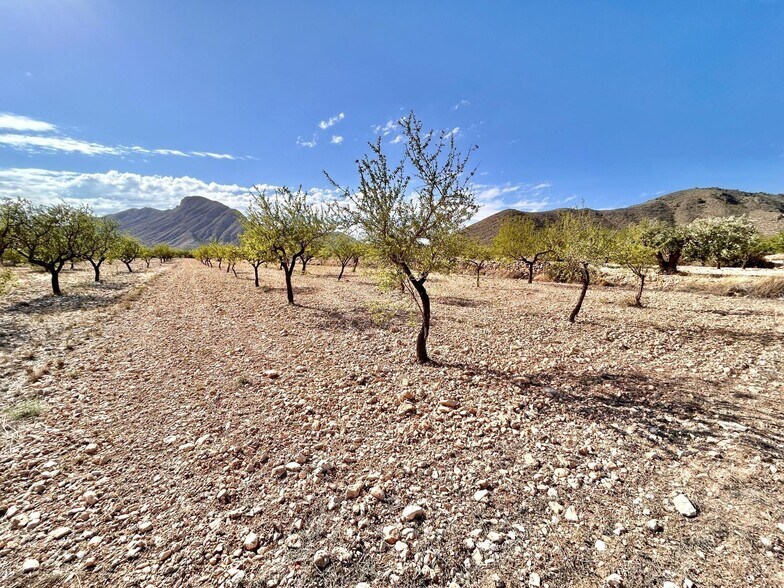 Terrain dans Orihuela, Alicante à vendre - Photo du bâtiment - Image 2 de 2