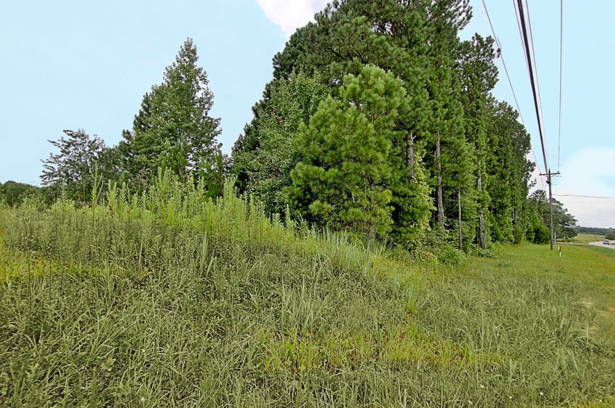 1430 Highway 154, Sharpsburg, GA à vendre - Photo du bâtiment - Image 3 de 4