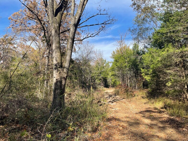 1155 VZ County 1415 rd, Van, TX à vendre - Autre - Image 1 de 5